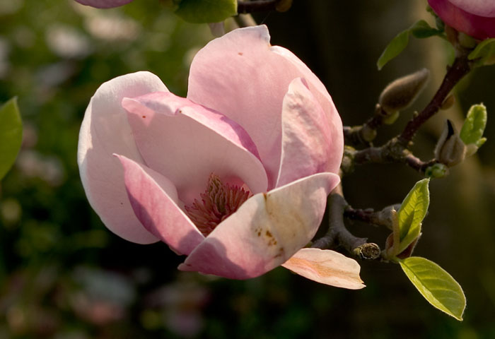 P5072281